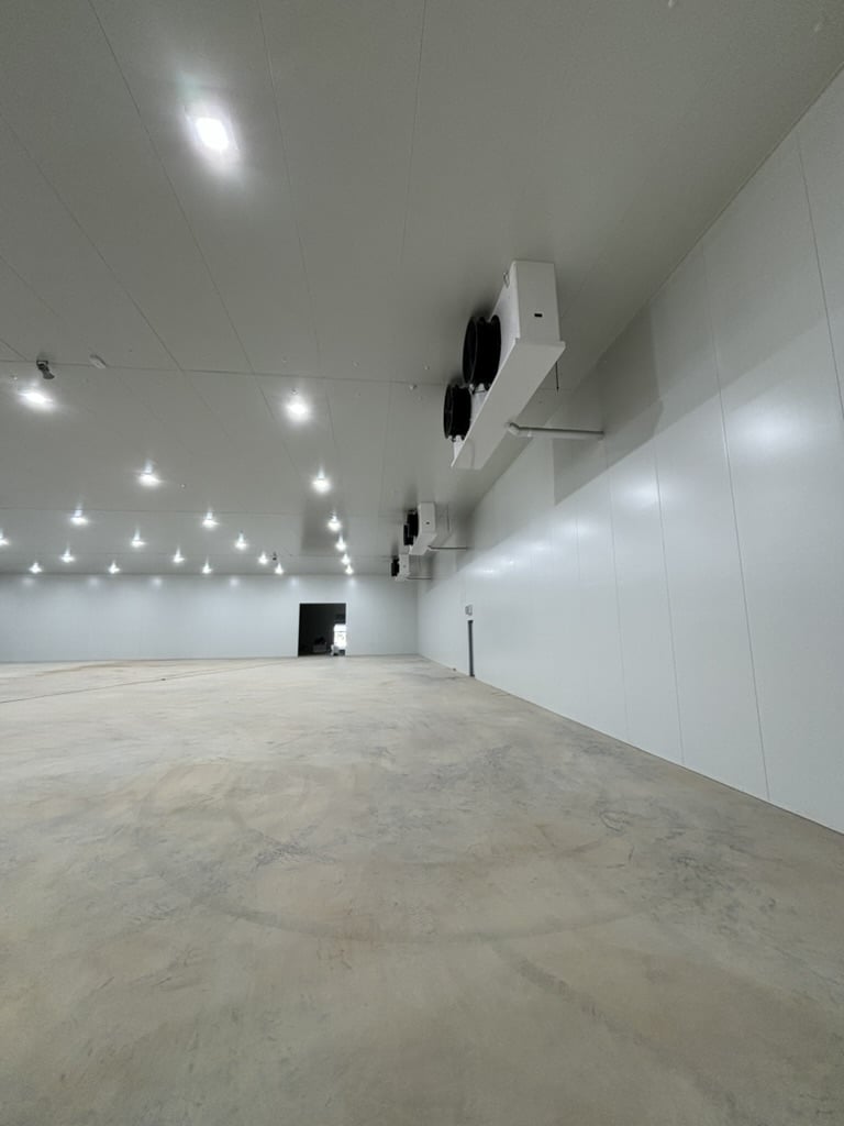 1FA4C450-A6CC-41FD-88FD-B5E2545B417F_1_105_c